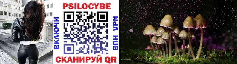 Псилоцибиновые грибы Magic Shrooms  Купить закладки  Озёрск 